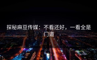 探秘麻豆传媒：不看还好，一看全是门道
