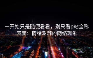 一开始只是随便看看，别只看p站全称表面：情绪澎湃的网络现象