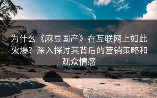 为什么《麻豆国产》在互联网上如此火爆？深入探讨其背后的营销策略和观众情感