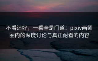 不看还好，一看全是门道：pixiv画师圈内的深度讨论与真正耐看的内容