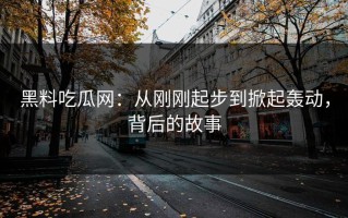 黑料吃瓜网：从刚刚起步到掀起轰动，背后的故事