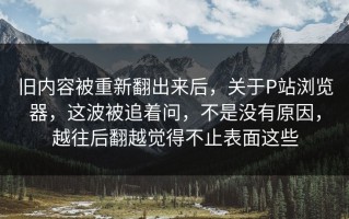 旧内容被重新翻出来后，关于P站浏览器，这波被追着问，不是没有原因，越往后翻越觉得不止表面这些
