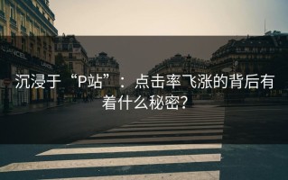 沉浸于“P站”：点击率飞涨的背后有着什么秘密？