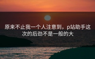原来不止我一个人注意到，p站助手这次的后劲不是一般的大