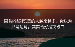围着P站浏览器的人越来越多，你以为只是边角，其实恰好是突破口