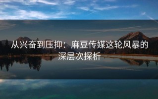 从兴奋到压抑：麻豆传媒这轮风暴的深层次探析