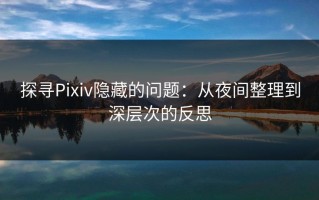 探寻Pixiv隐藏的问题：从夜间整理到深层次的反思