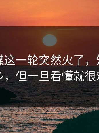 麻豆传媒这一轮突然火了，知道的人不算多，但一旦看懂就很难忽略