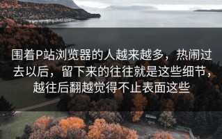 围着P站浏览器的人越来越多，热闹过去以后，留下来的往往就是这些细节，越往后翻越觉得不止表面这些