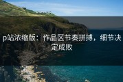 p站浓缩版：作品区节奏拼搏，细节决定成败