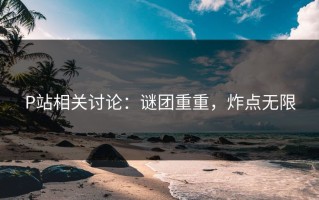 P站相关讨论：谜团重重，炸点无限