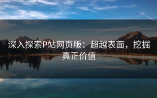 深入探索P站网页版：超越表面，挖掘真正价值