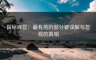 探秘麻豆：最有用的部分被误解与忽视的真相