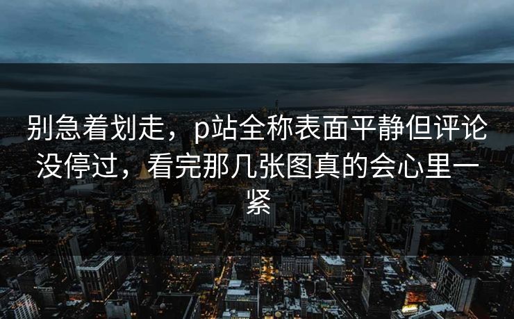 别急着划走，p站全称表面平静但评论没停过，看完那几张图真的会心里一紧-第1张图片-p站短视频 - p站助手精选网