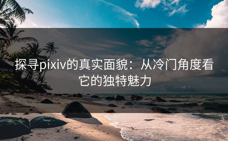 探寻pixiv的真实面貌：从冷门角度看它的独特魅力-第1张图片-p站短视频 - p站助手精选网