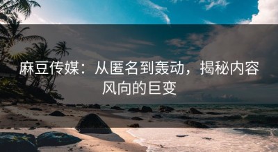 麻豆传媒：从匿名到轰动，揭秘内容风向的巨变