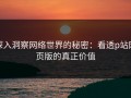 深入洞察网络世界的秘密：看透p站网页版的真正价值