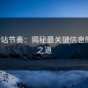 解密P站节奏：揭秘最关键信息的隐藏之道