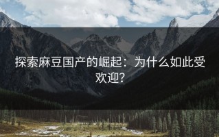 探索麻豆国产的崛起：为什么如此受欢迎？