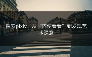 探索pixiv：从“随便看看”到发现艺术深意