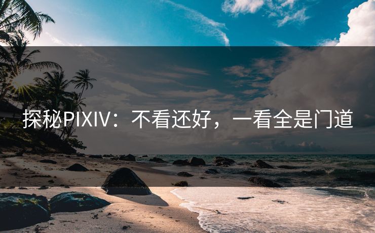 探秘PIXIV:不看还好,一看全是门道-第1张图片-p站短视频 - p站助手精选网 探秘PIXIV:不看还好,一看全是门道-第1张图片-p站短视频 - p站助手精选网